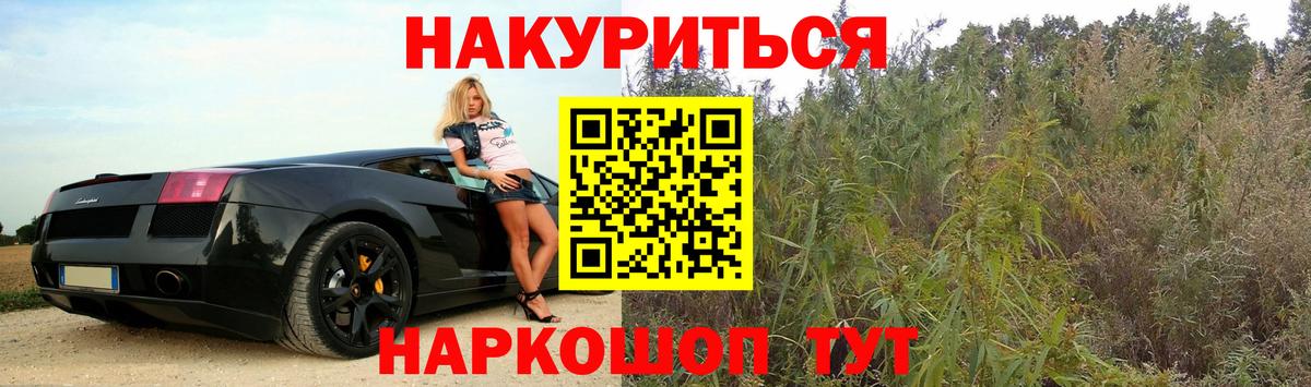 Бошки Шишки марихуана Ставрополь